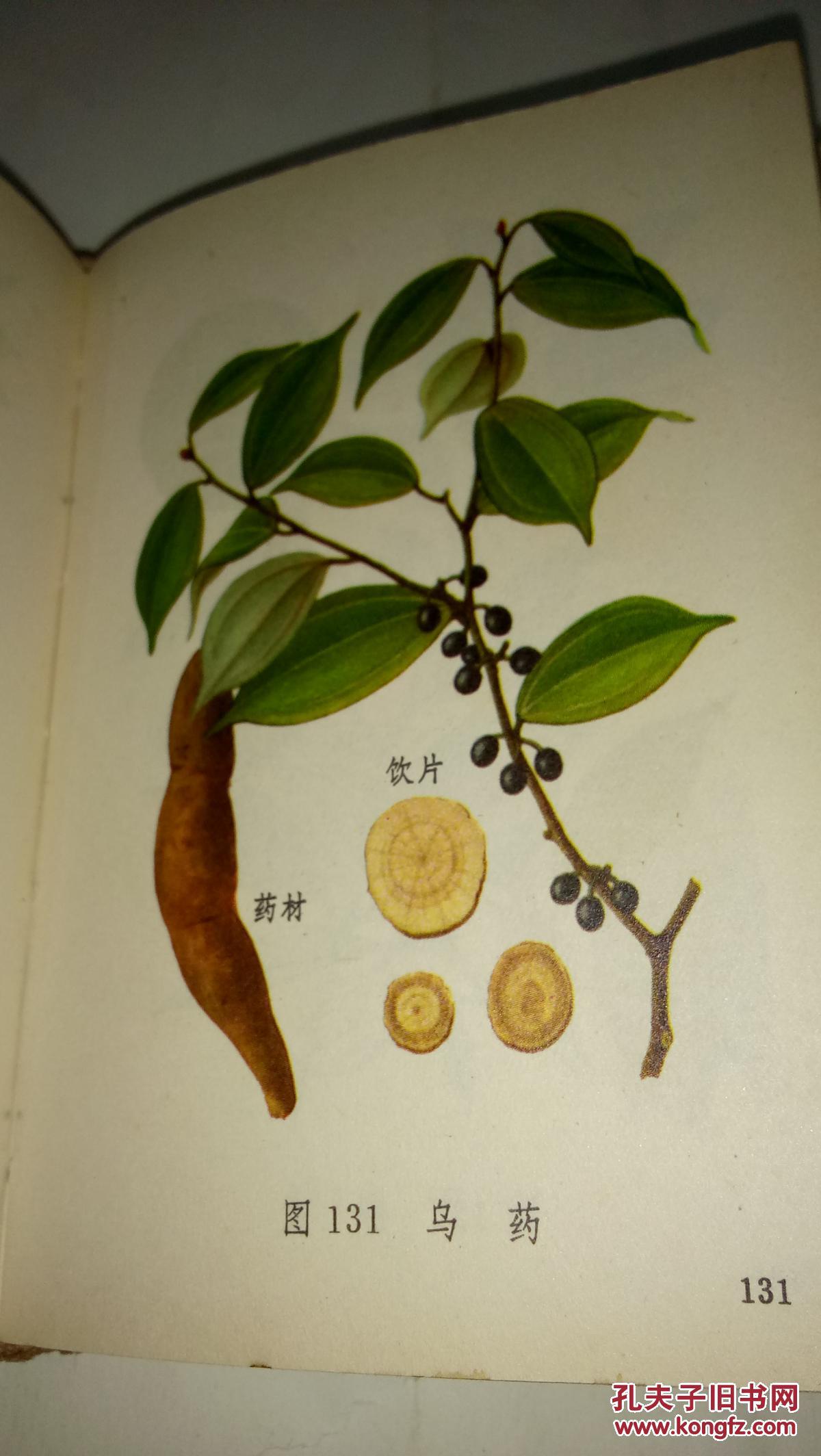 《常用中草药图谱》