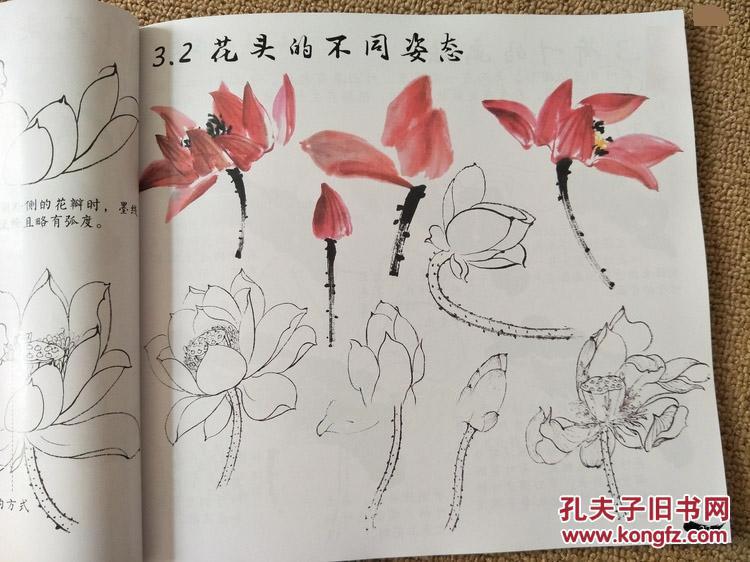 国画花卉综合一学就会 大字大图画册写意梅花荷花牡丹等花卉画法
