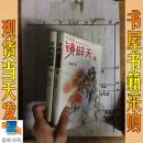 镜辟天2