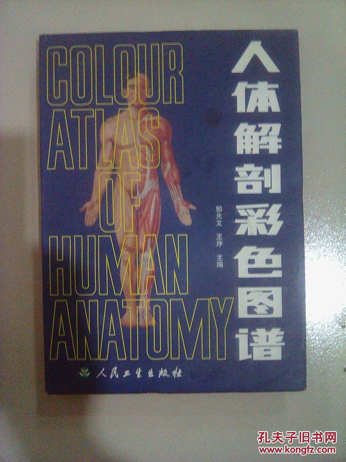 人体解剖学彩色图谱