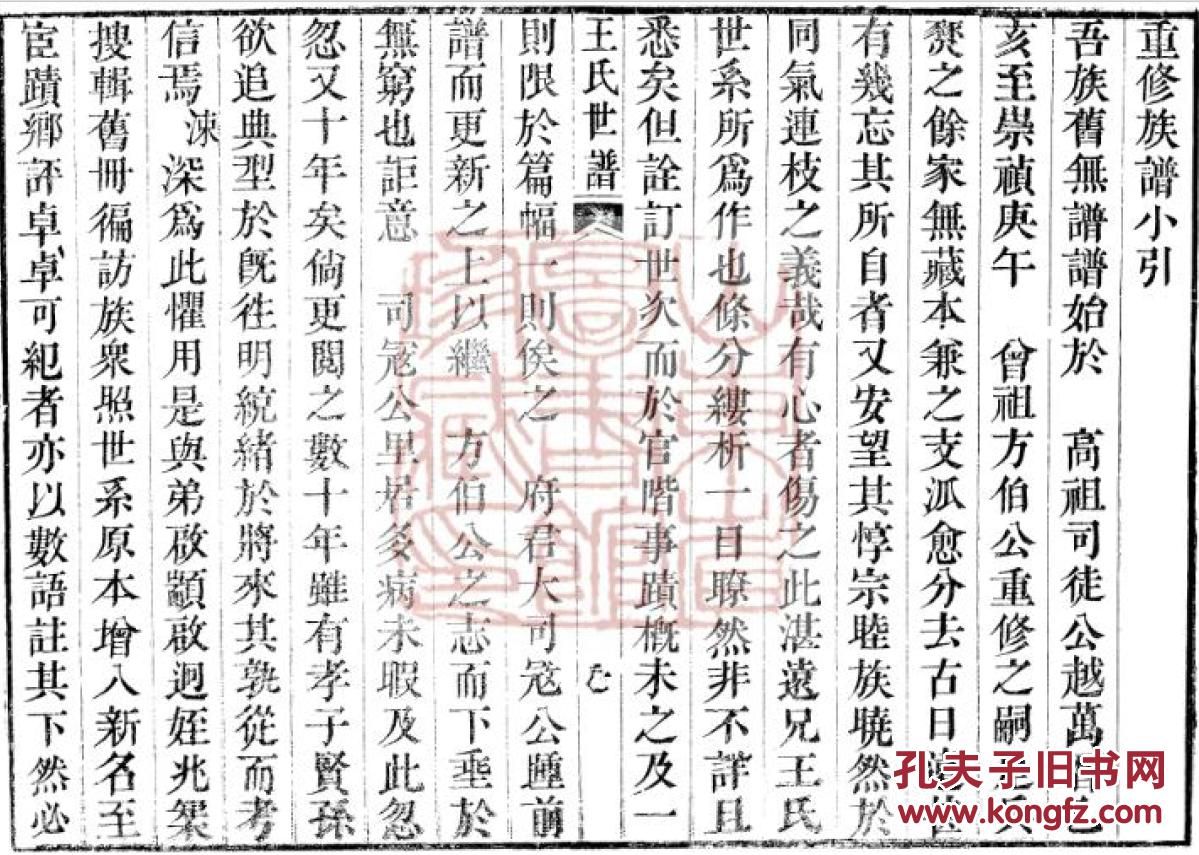家谱----王氏世谱 【具体见品相描述】 新城 贵公支