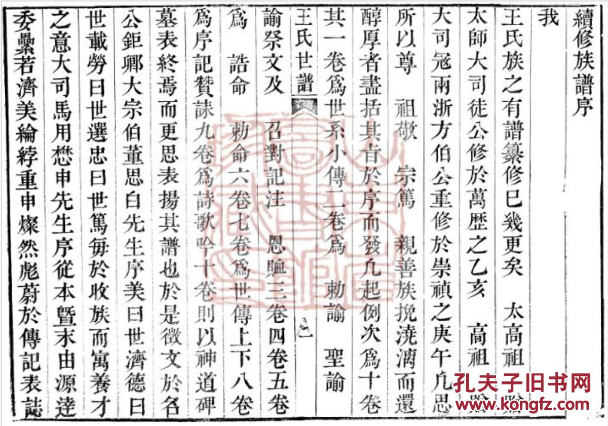 家谱----王氏世谱 【具体见品相描述】 新城 贵公支