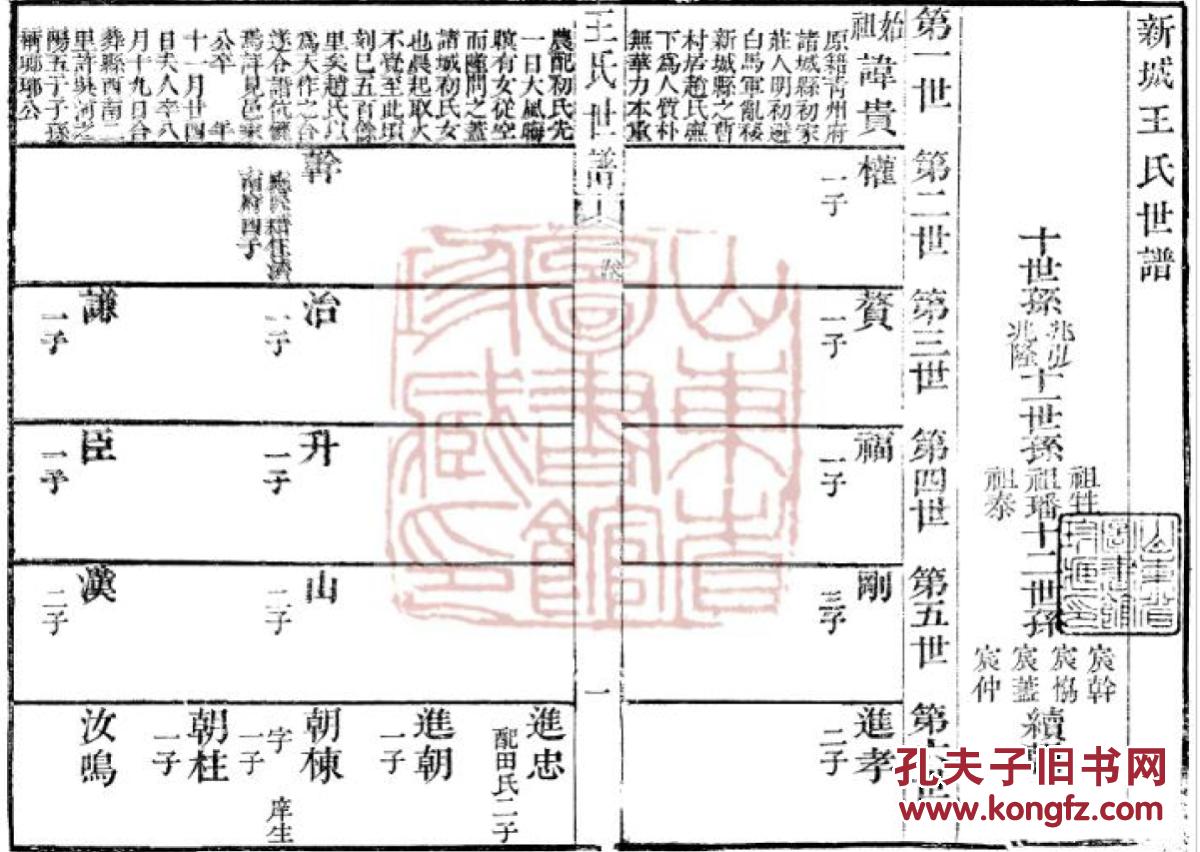 家谱----王氏世谱 【具体见品相描述】 新城 贵公支