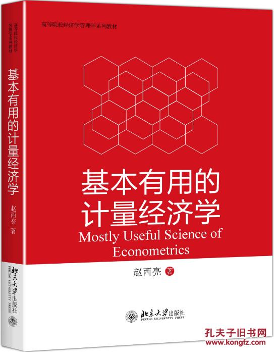 基本有用的计量经济学 ---全新正版快递