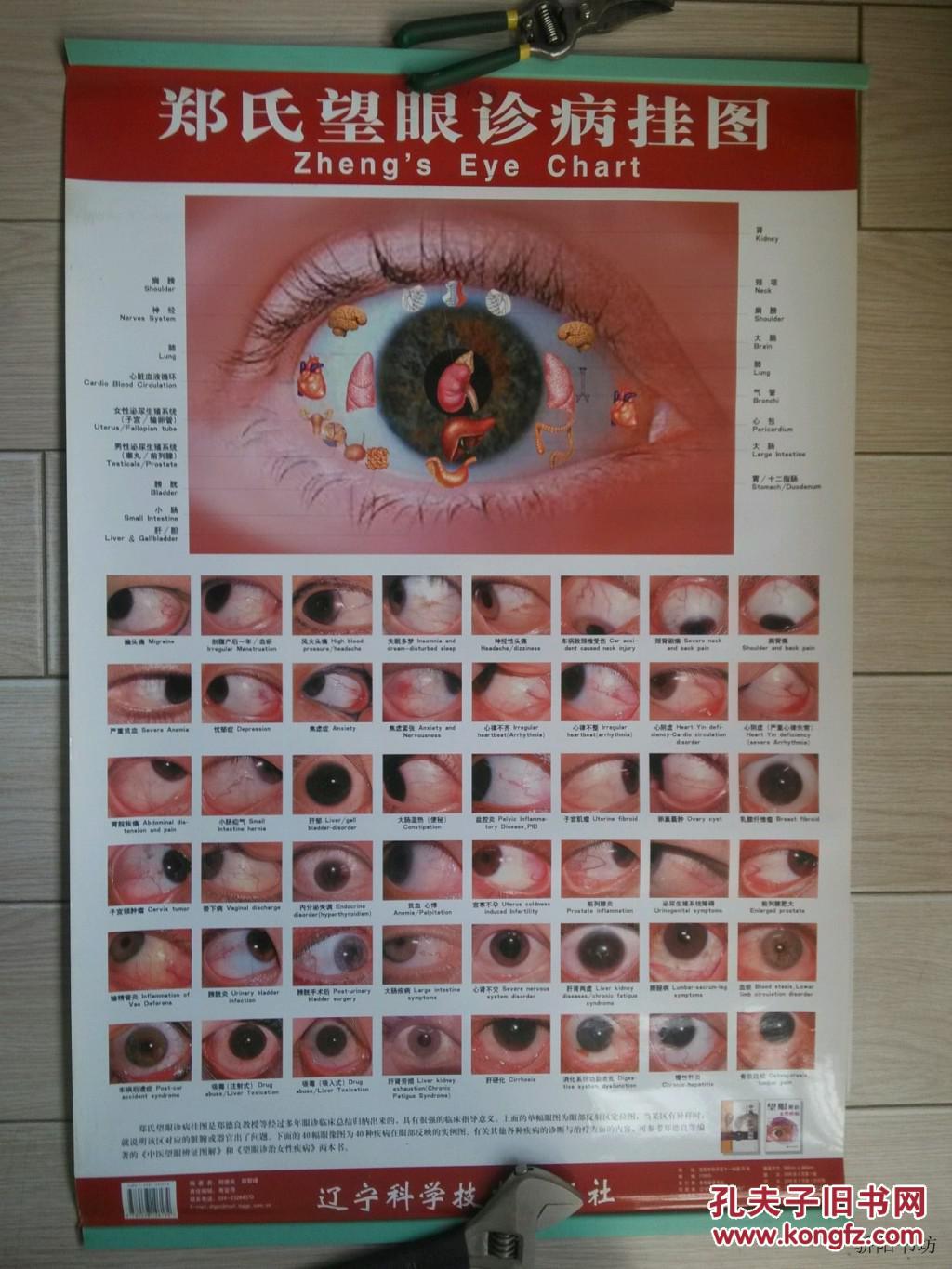 郑氏望眼诊病挂图随挂图