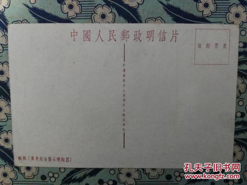 鹌鹑简谱_鹌鹑鸟图片