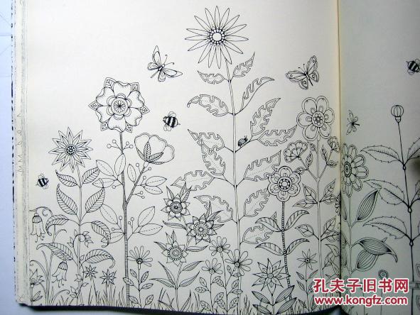 秘密花园 一本探索奇境的手绘涂色书