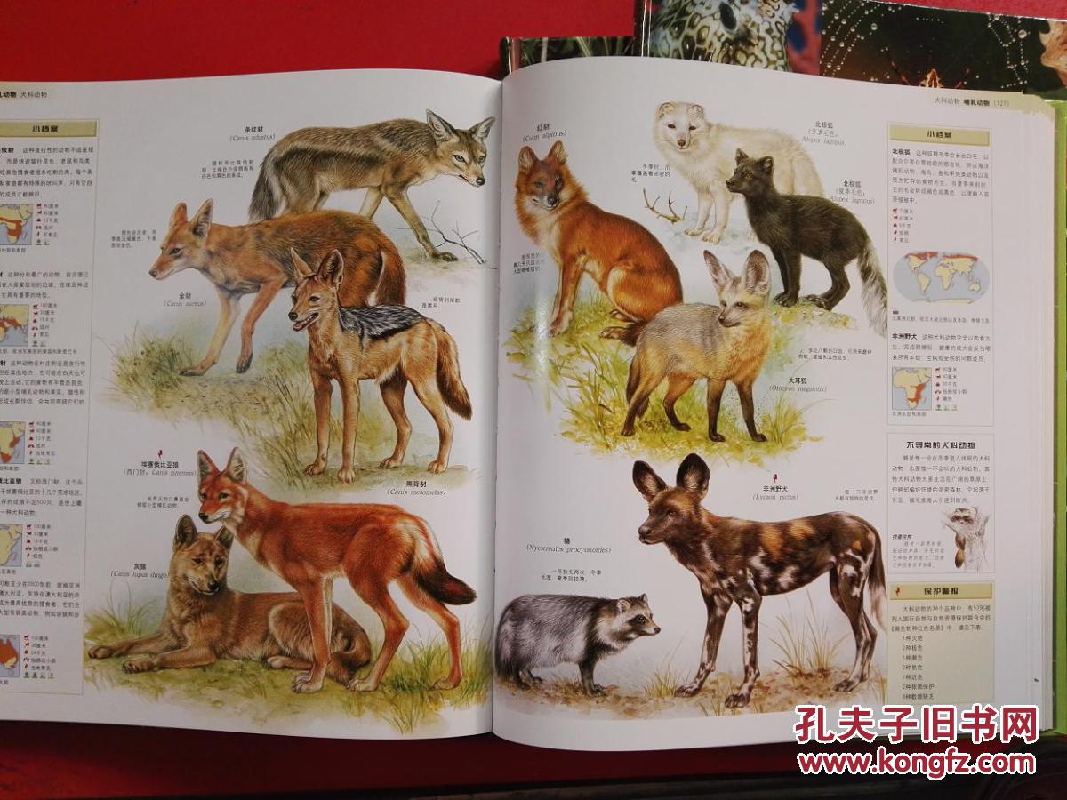 世界动物百科全书:哺乳动物 ,鸟.爬行动物,两栖动物.鱼.