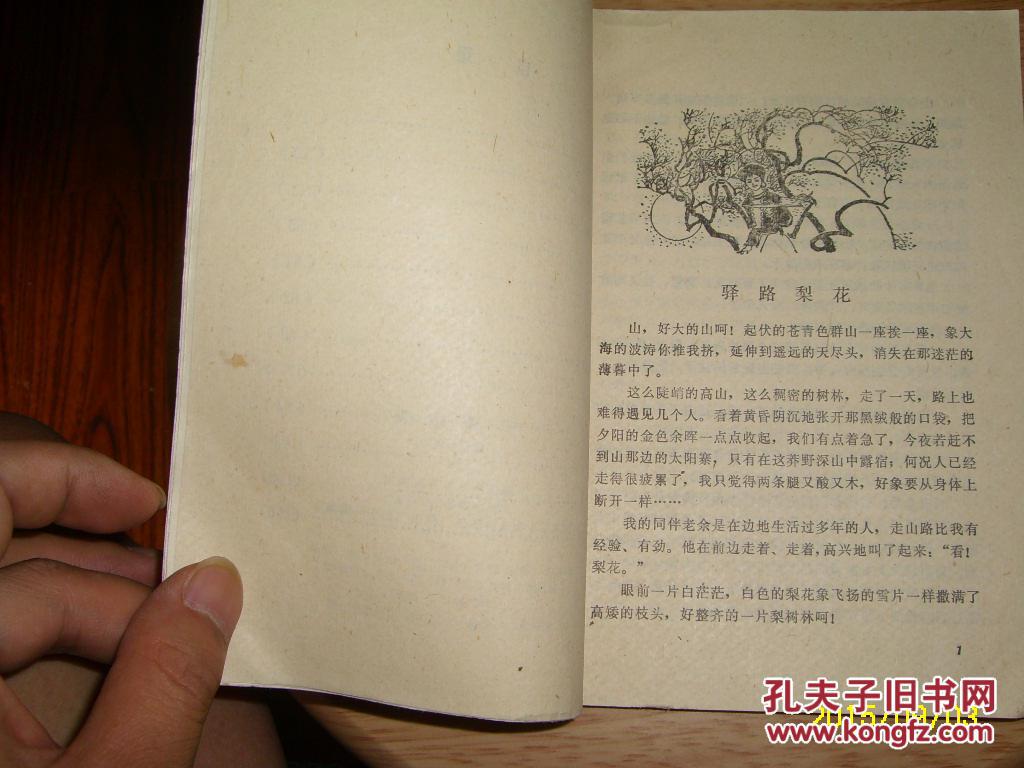 驿路梨花