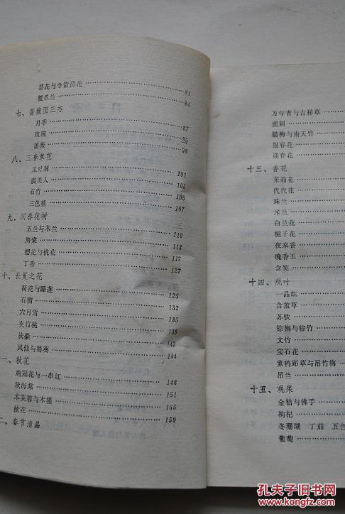 观花简谱_西厢观花简谱(2)