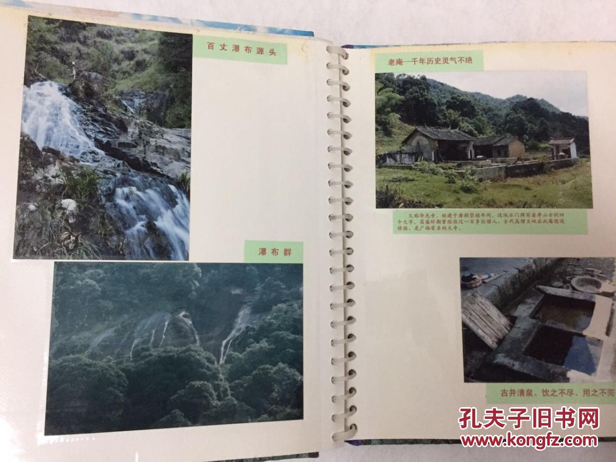 桃尧镇人口_桃尧镇温育泉