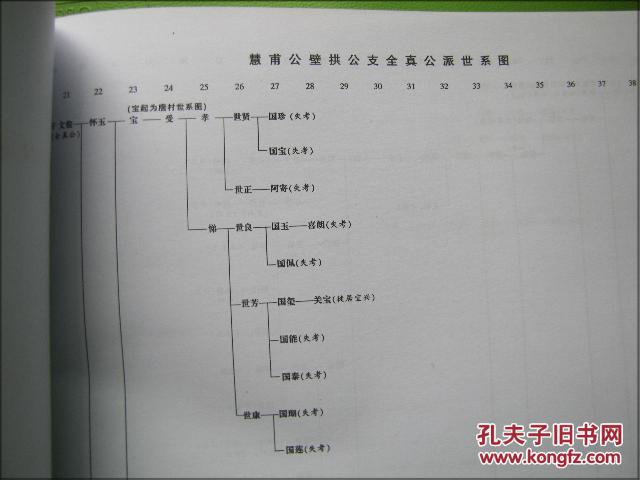 家谱.族谱:无锡钱氏宗谱世系图(湖头支)精装巨厚册