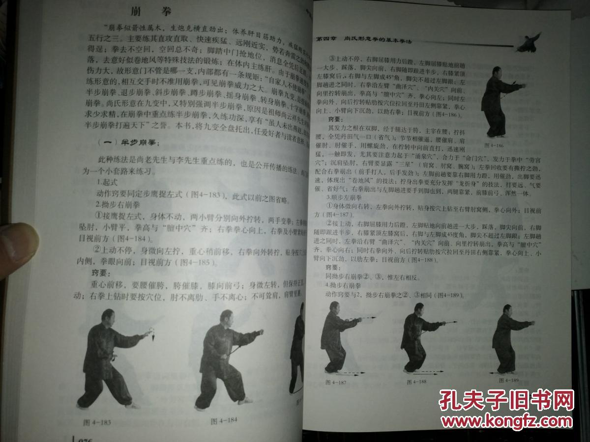 正版 中国尚派形意拳 尚式形意拳