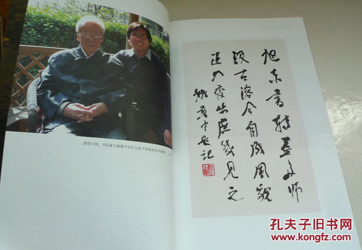 翰墨印象 当代最具潜质书法名家原旭东书法
