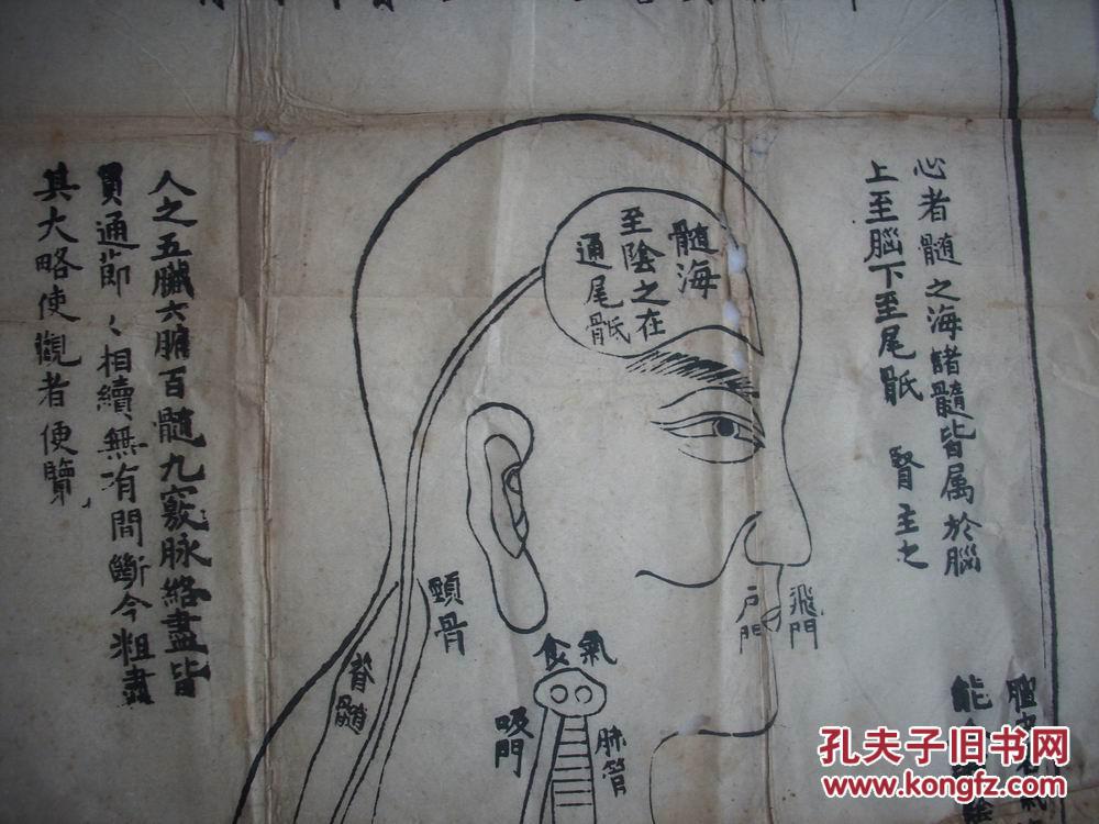 清代木刻【脏腑明堂图"和"伏人明堂图】2张!每张尺寸80/28厘米
