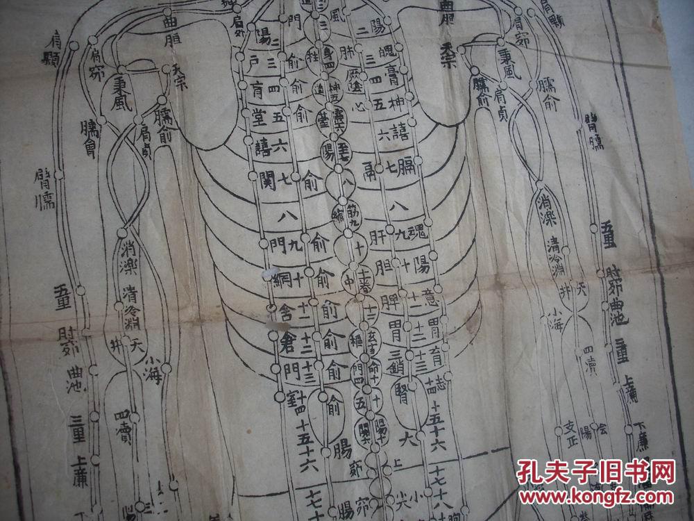 清代木刻【脏腑明堂图"和"伏人明堂图】2张!每张尺寸80/28厘米