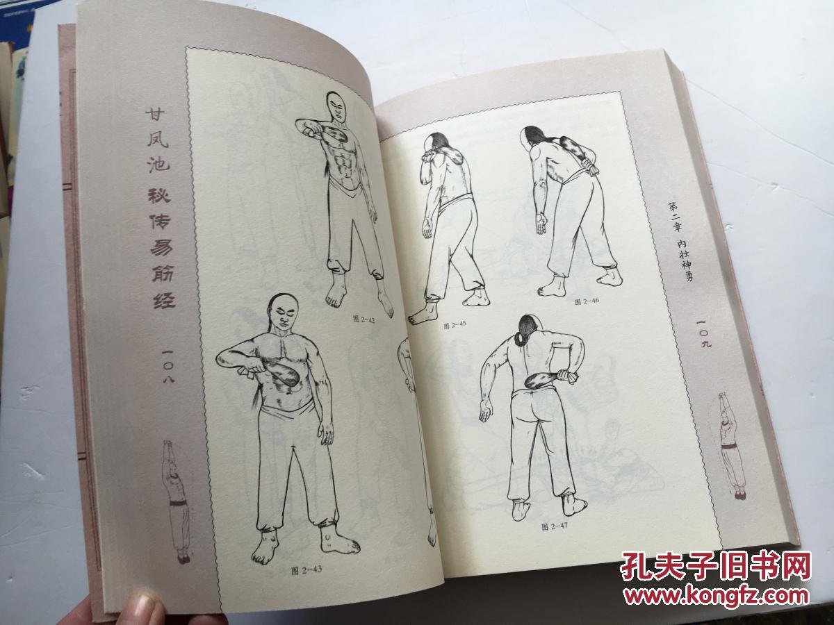 甘凤池秘传易筋经 岳武穆秘传易筋经(合售)