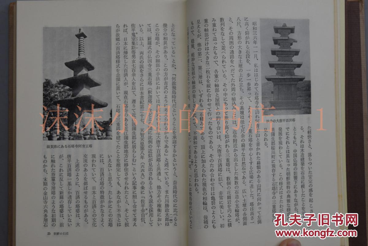 专门介绍世界各地古塔建筑的书籍 大量古塔图片 文字介绍 东西的仏塔