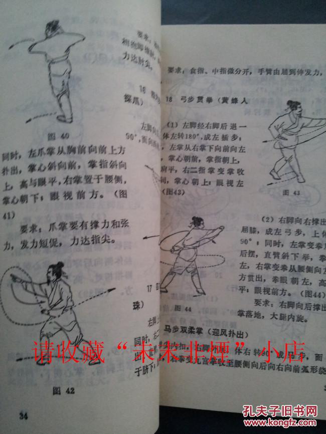 武当九宫拳宗阐秘 王柄生 武当内家拳 九宫掌,九宫十八腿,85品