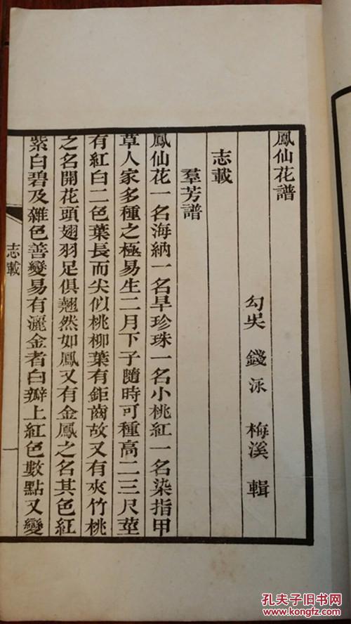 白纸简谱_白纸背景图片(3)