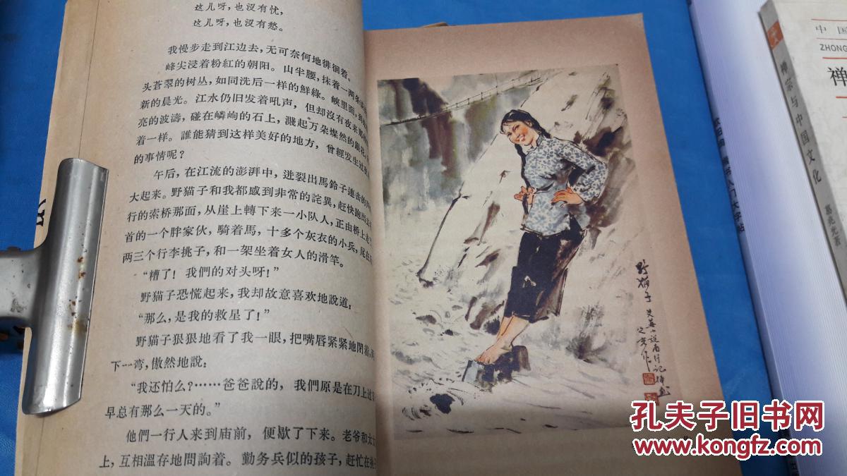 南行记.艾芜,著.人民文学出版社.