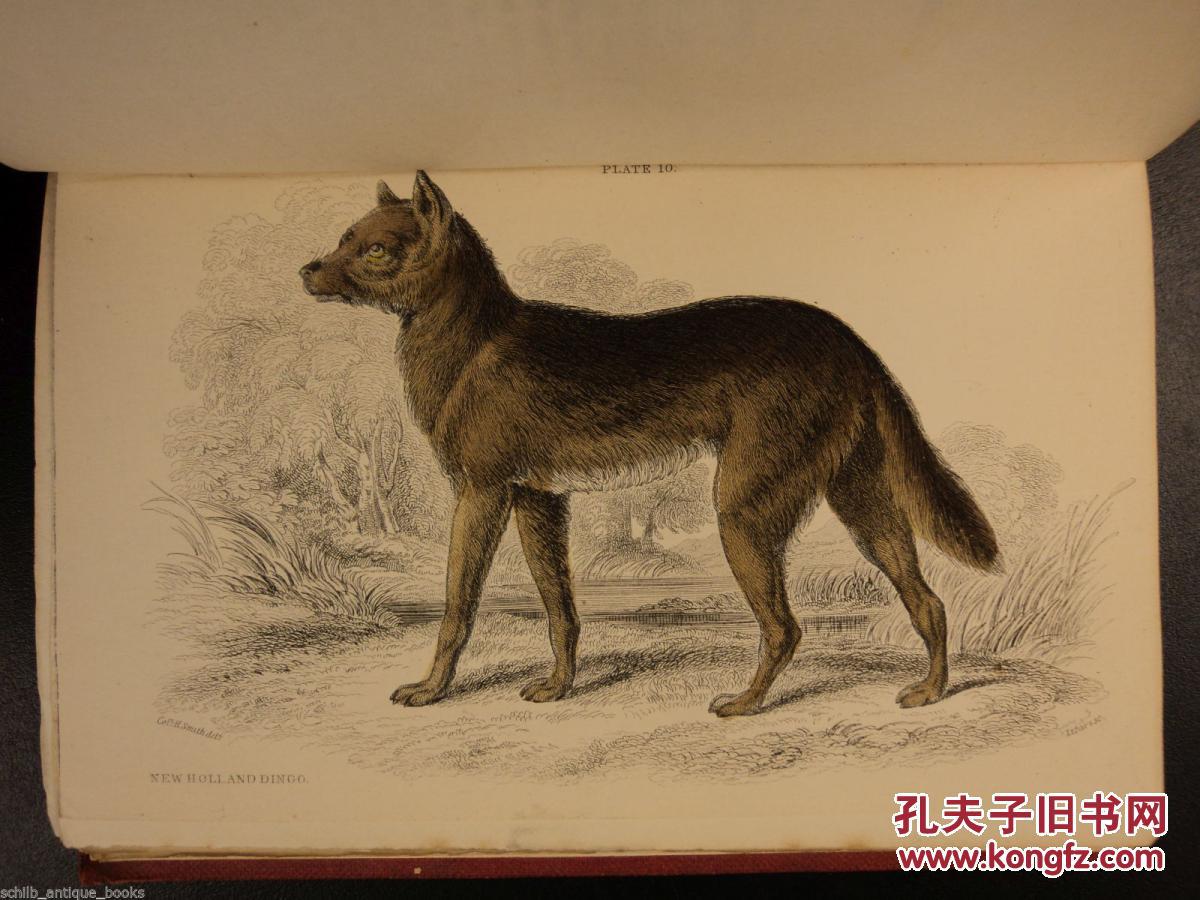 狐狸狼彩色铜版画约1845年30幅