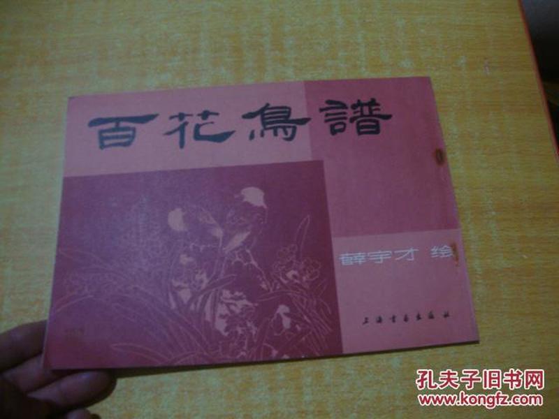 百花鸟曲谱_百花争艳(3)