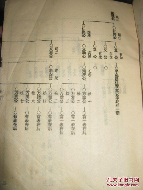 p4YBAFkXMz-AHeX6AAB9V2b6b5Q558_b.jpg