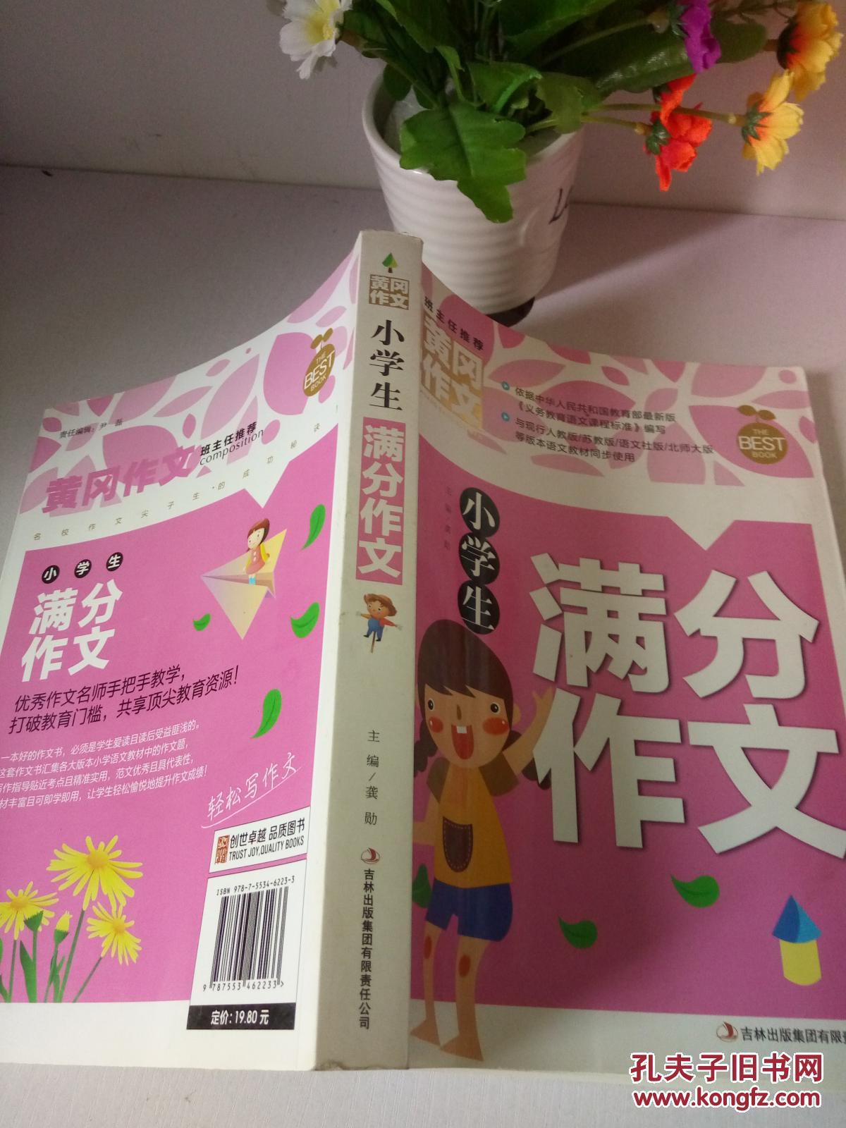 小学生满分作文