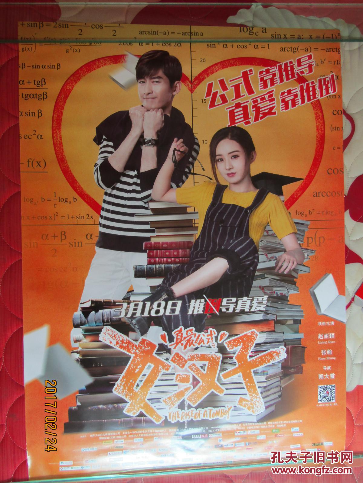 品相描述:九五品                      《女汉子真爱公式》是2015年