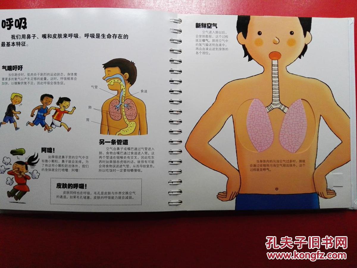 我们的身体