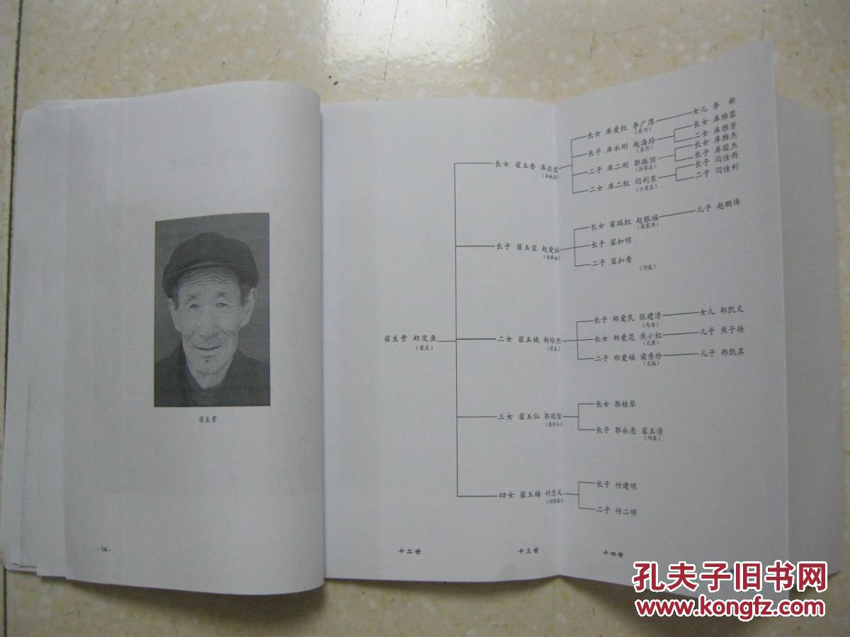 翟氏族谱(家族系谱 山西省寿阳县尹灵芝镇侯家垴村.