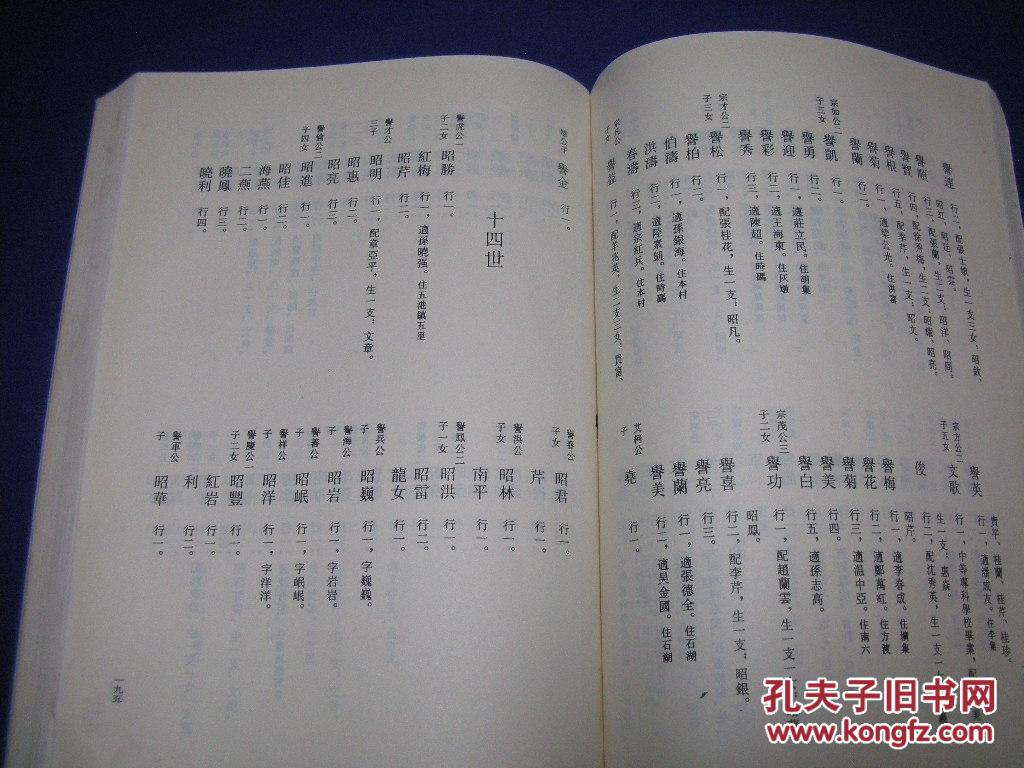 一九九六年重修三槐堂《王氏族谱》吉林长春
