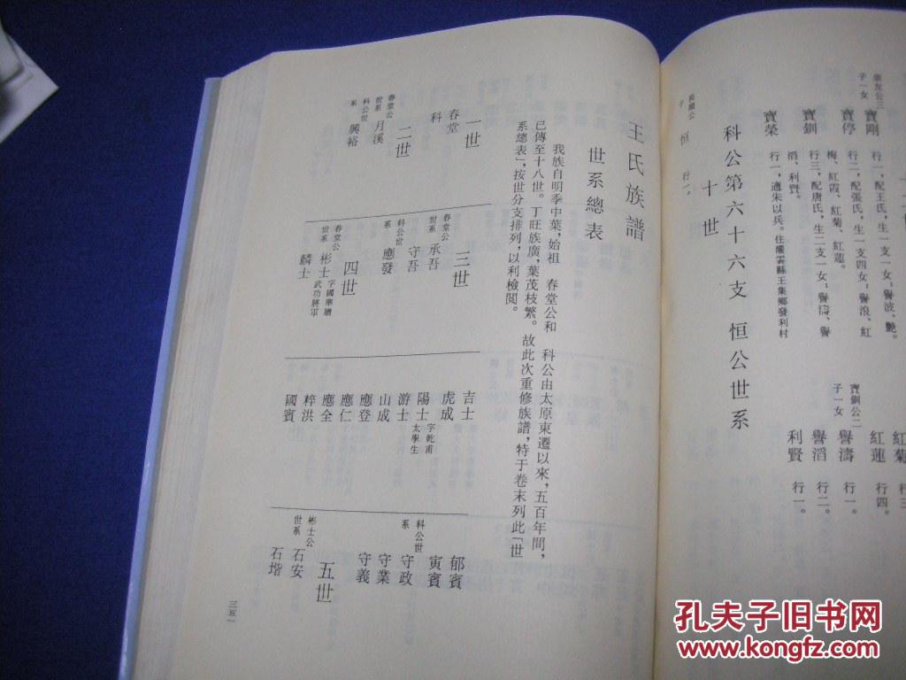 一九九六年重修三槐堂《王氏族谱》吉林长春