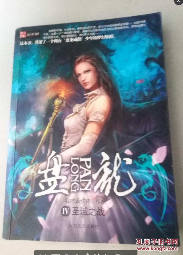 盘龙4: 