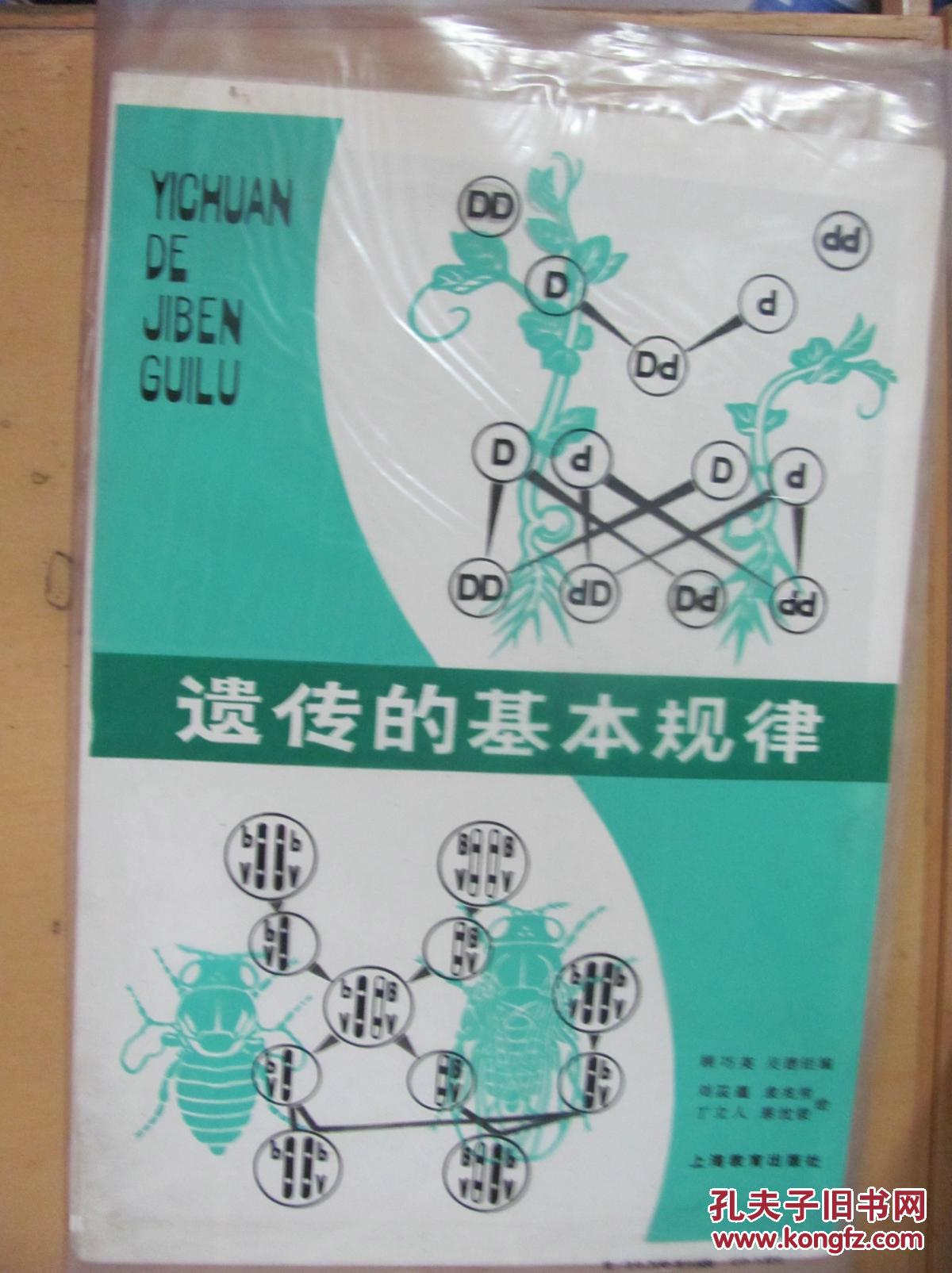 遗传的基本规律(高中生物教学挂图)