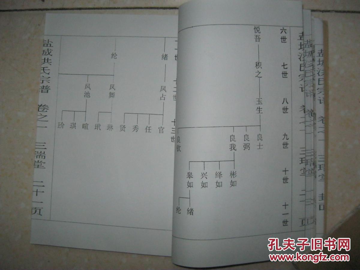 洪氏宗谱(二本,即卷之一,卷之二.三瑞堂.江苏省盐城市