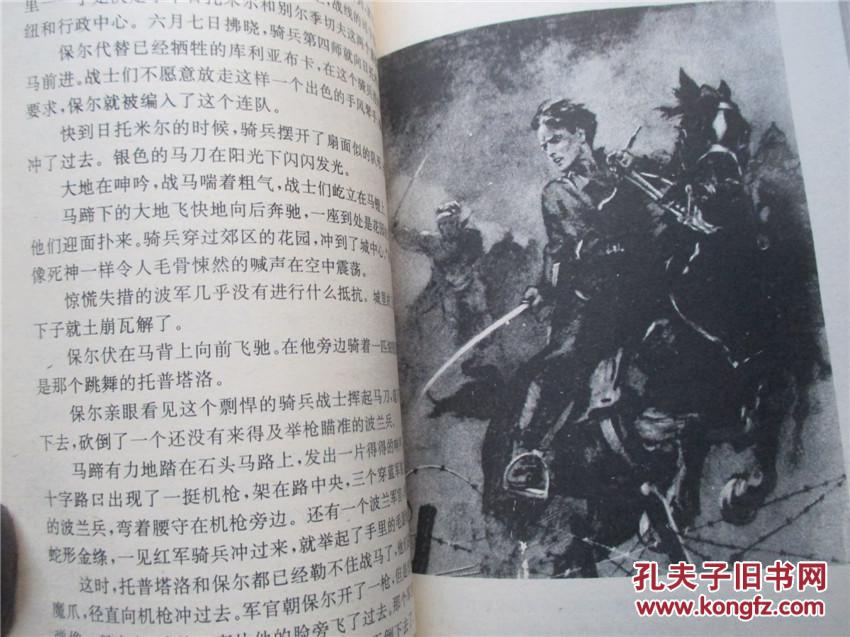全译插图本:钢铁是怎样炼成的 黄树南等译