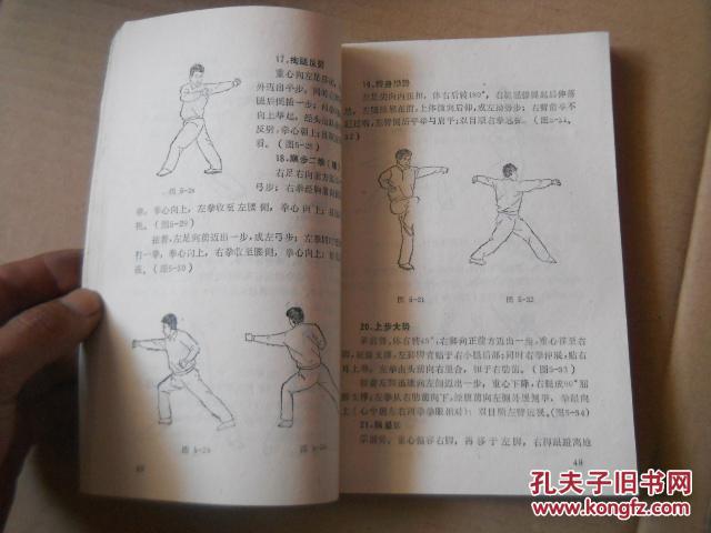 五势梅花桩实用技击术
