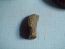 木化石1块---------5*3*11cm
