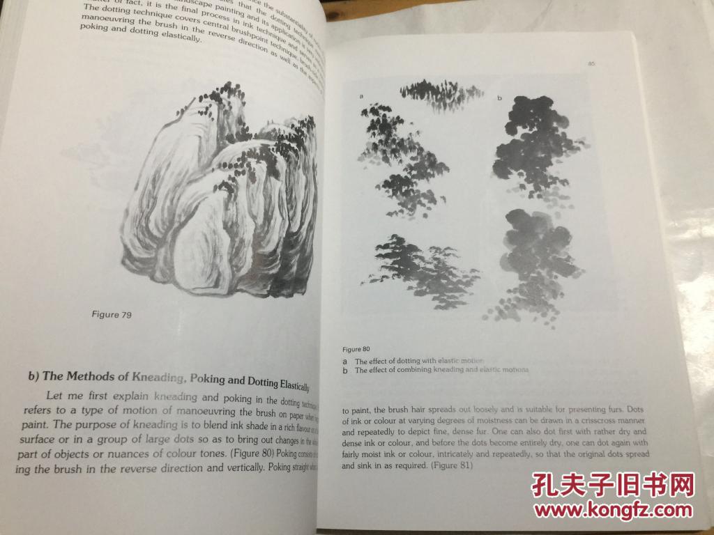 of chinese painting series[山水画技法-中国画技巧系列 英文版]