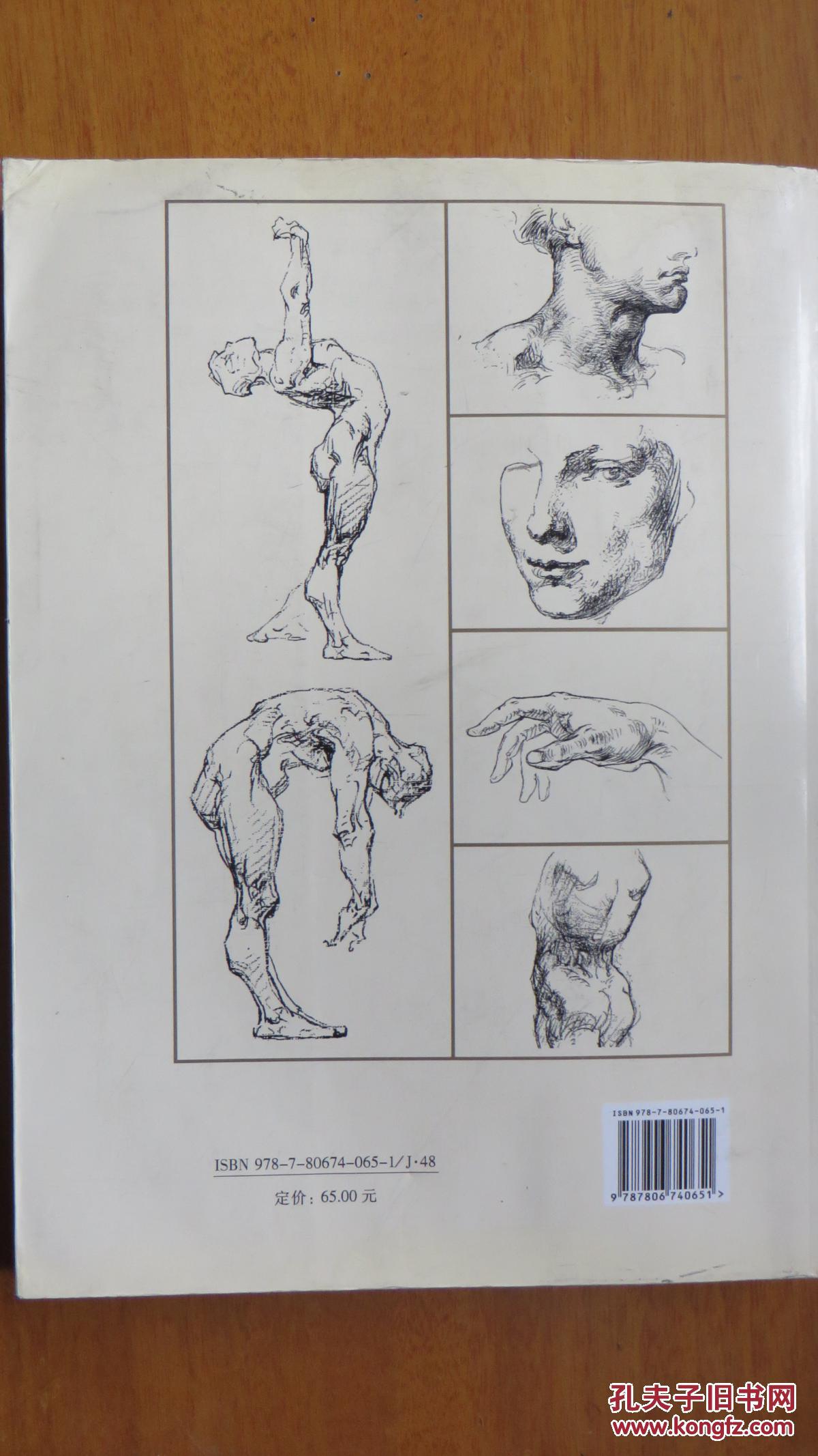 伯里曼人体结构绘画教学