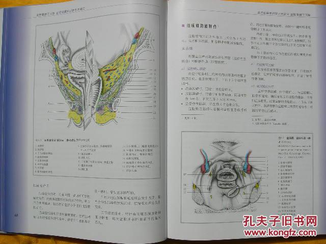 妇产科手术解剖图谱