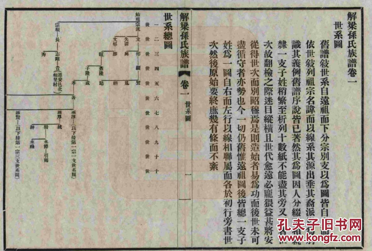 家谱------孙氏族谱 山西解梁 宗道公 宗顺公支 二本八卷 16开 156页