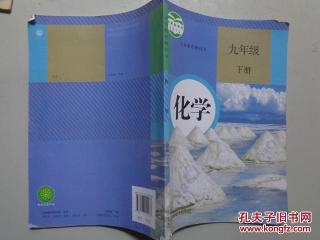 化学九年级下册 2012年审定版 人教版