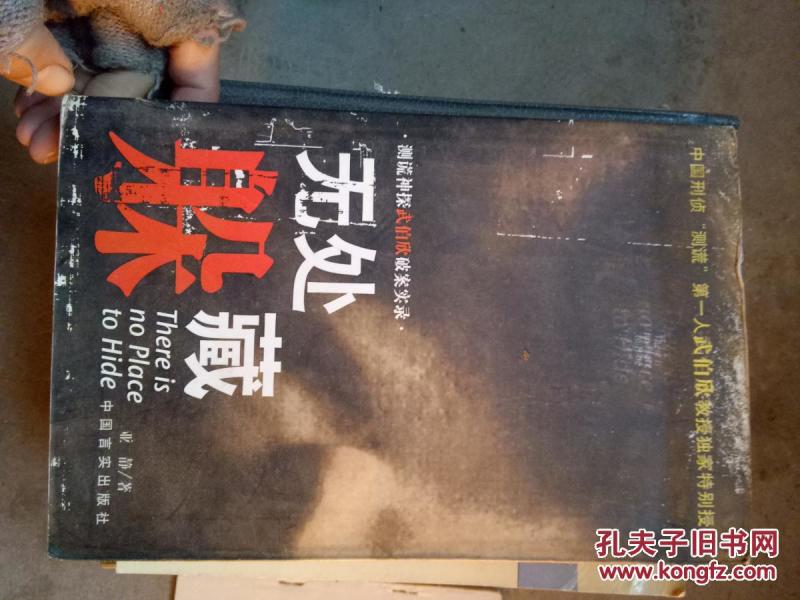 无处躲藏:测谎神探武伯欣破案实录