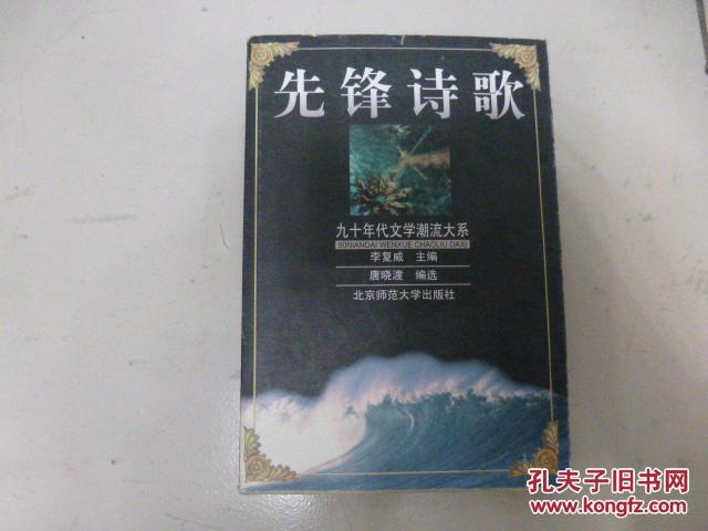 【图】九十年代文学潮流大系:先锋诗歌_北京师