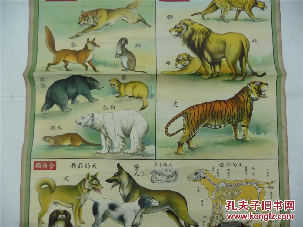 生产知识挂图(一) 动物组《1950年2开第1幅至第10幅共