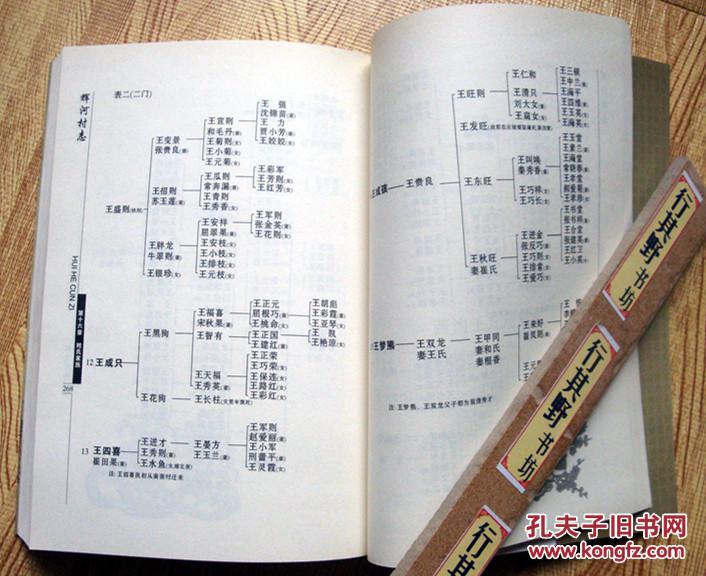 王家族谱宋庆龄家族族谱山西洪洞县张氏家族谱大松张家谱郭氏家族谱