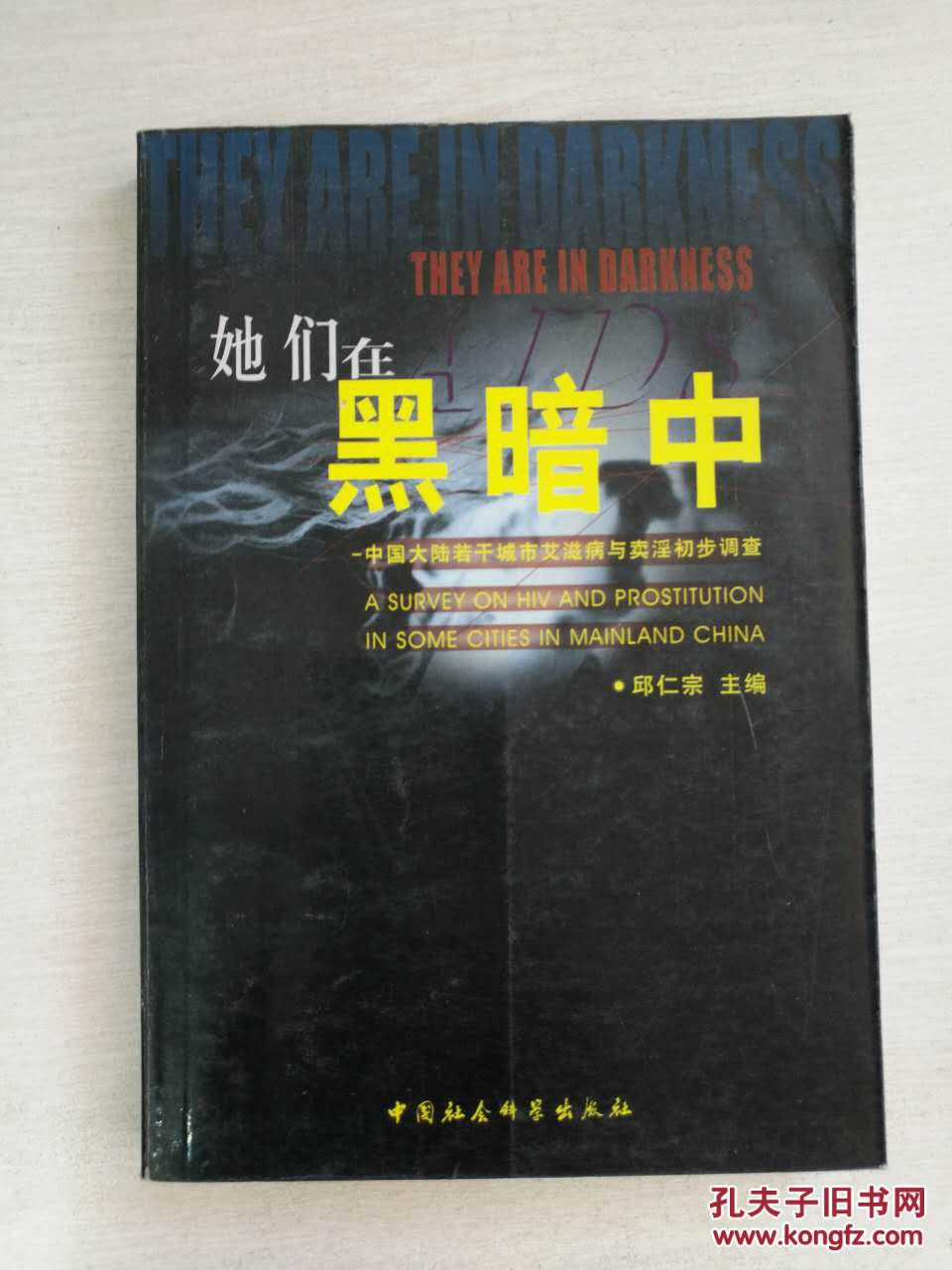 她们在黑暗中:中国大陆若干城市艾滋病与卖淫